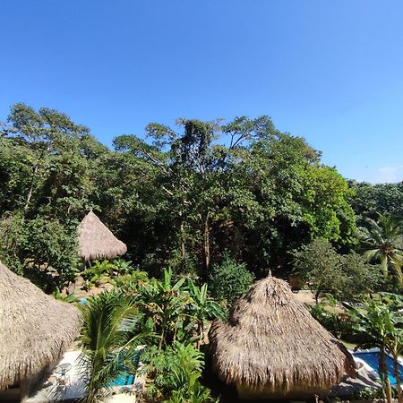 Colibri Parque Tayrona Dentro Del Parque Nacional Tayrona Bed & Breakfast El Zaino Exterior foto