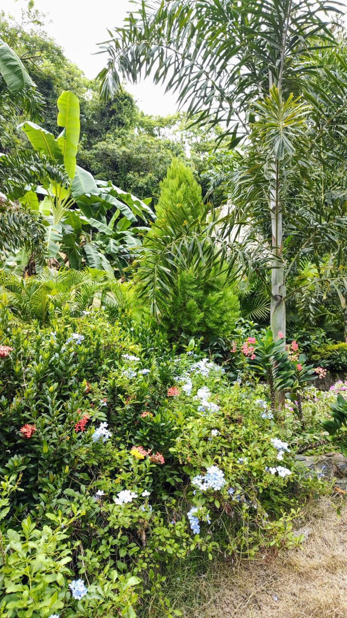 Colibri Parque Tayrona Dentro Del Parque Nacional Tayrona Bed & Breakfast El Zaino Exterior foto