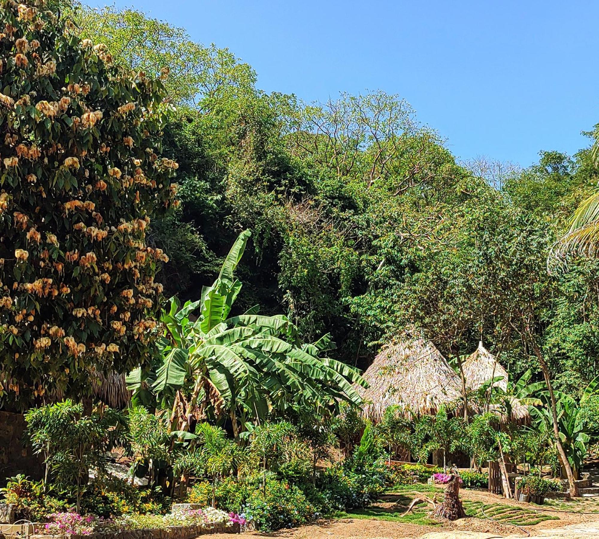 Colibri Parque Tayrona Dentro Del Parque Nacional Tayrona Bed & Breakfast El Zaino Exterior foto