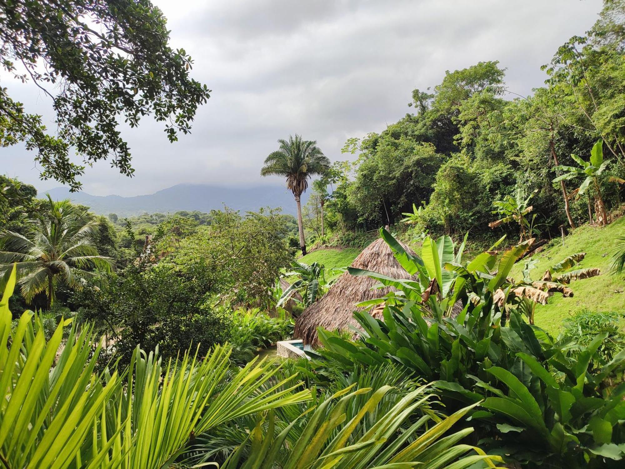 Colibri Parque Tayrona Dentro Del Parque Nacional Tayrona Bed & Breakfast El Zaino Exterior foto