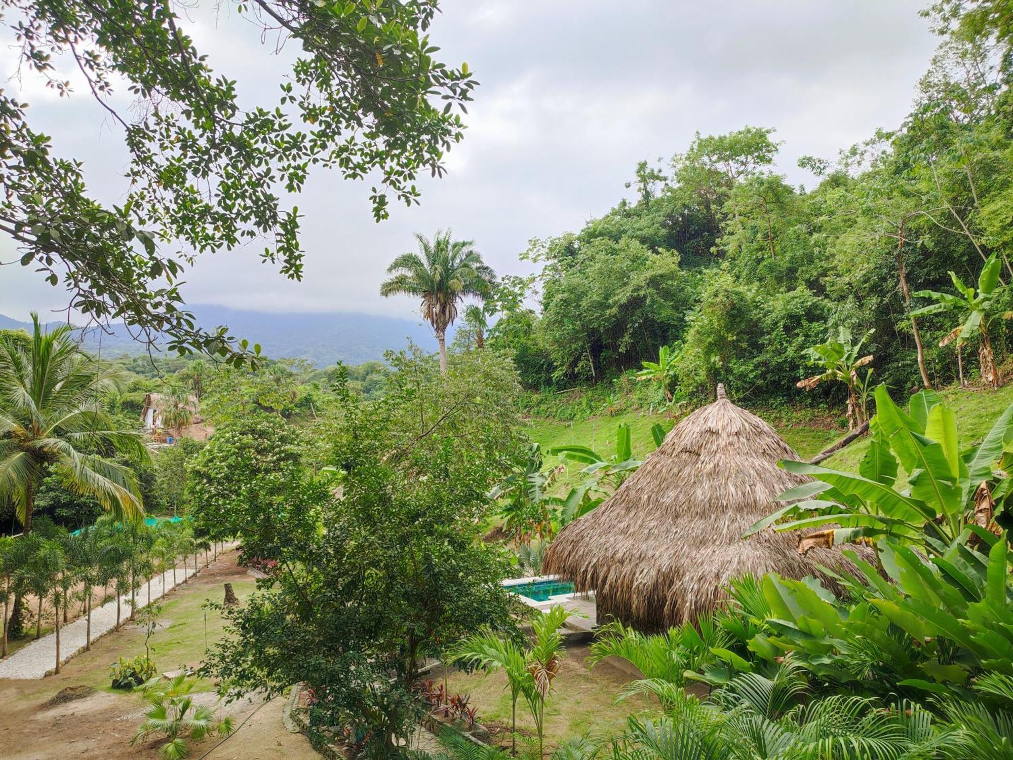 Colibri Parque Tayrona Dentro Del Parque Nacional Tayrona Bed & Breakfast El Zaino Exterior foto