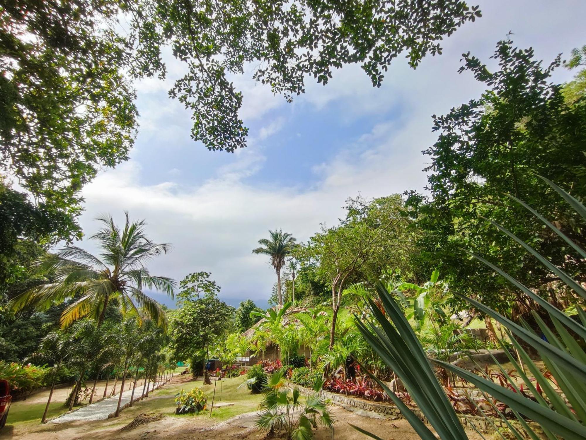 Colibri Parque Tayrona Dentro Del Parque Nacional Tayrona Bed & Breakfast El Zaino Exterior foto