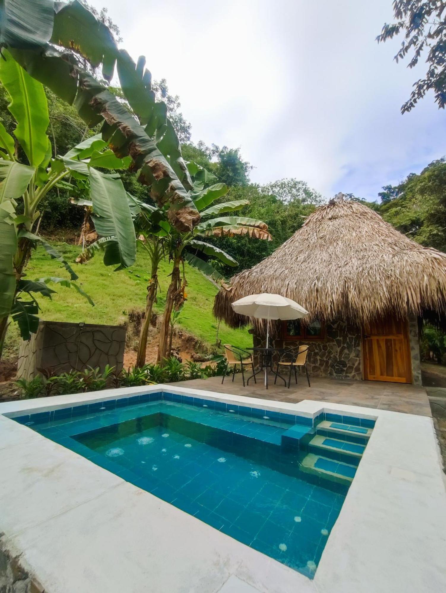 Colibri Parque Tayrona Dentro Del Parque Nacional Tayrona Bed & Breakfast El Zaino Exterior foto