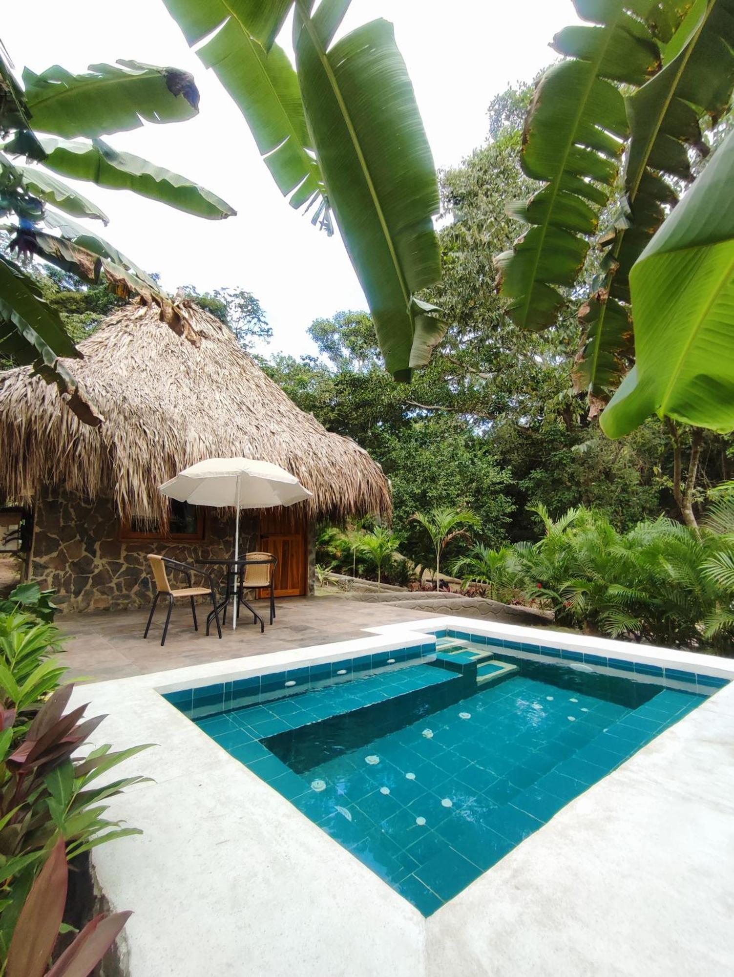 Colibri Parque Tayrona Dentro Del Parque Nacional Tayrona Bed & Breakfast El Zaino Exterior foto