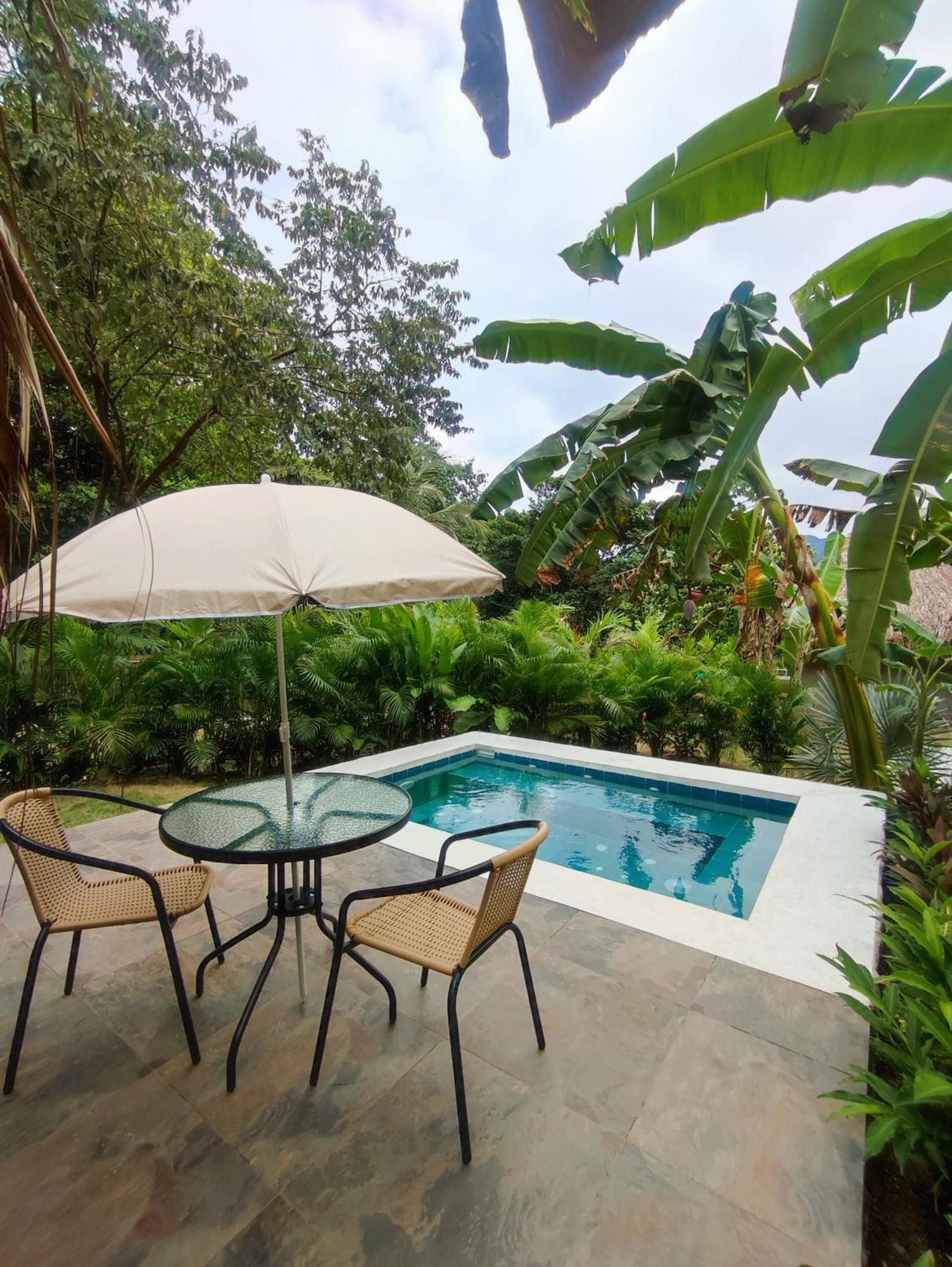 Colibri Parque Tayrona Dentro Del Parque Nacional Tayrona Bed & Breakfast El Zaino Exterior foto