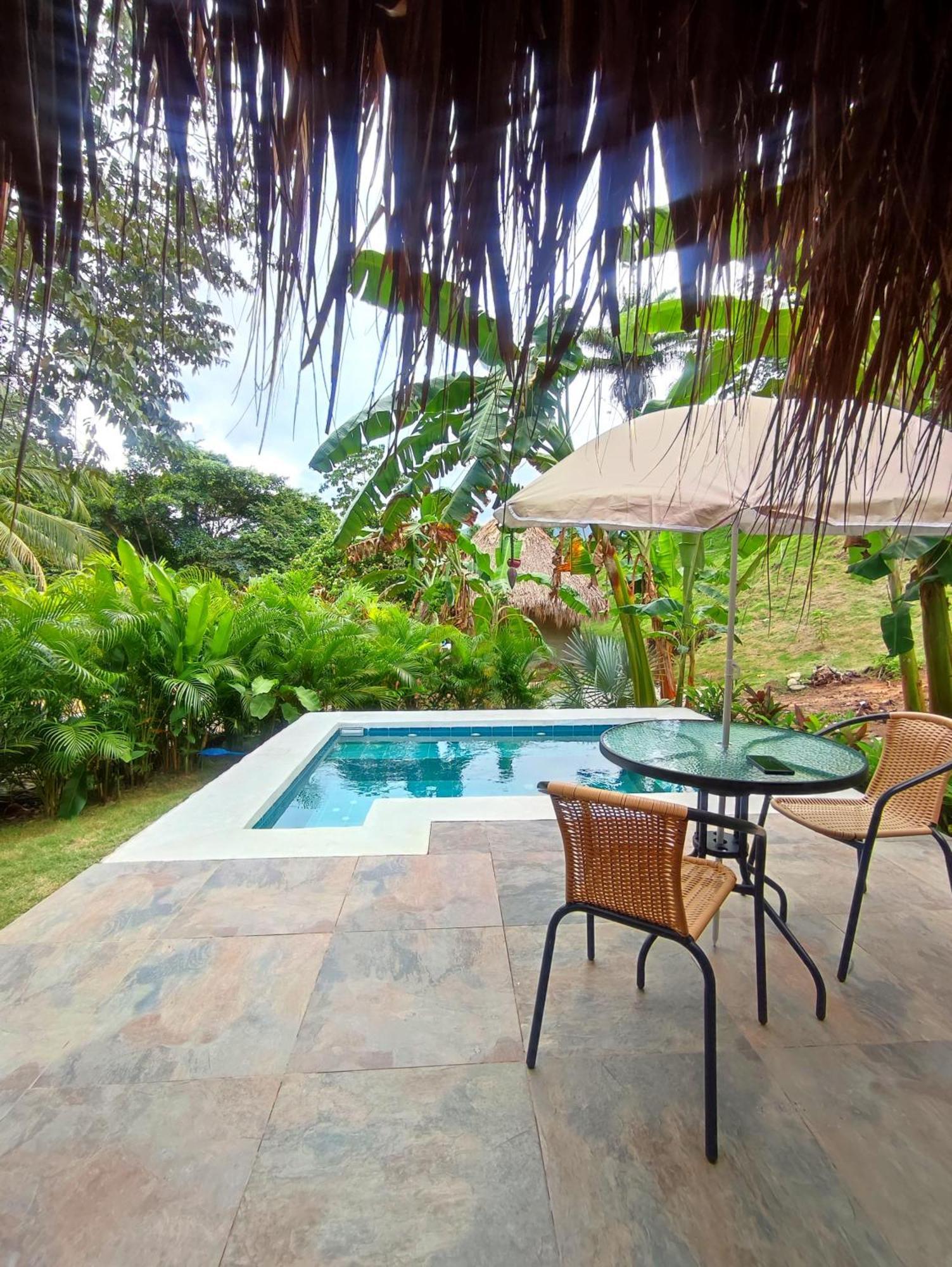 Colibri Parque Tayrona Dentro Del Parque Nacional Tayrona Bed & Breakfast El Zaino Exterior foto