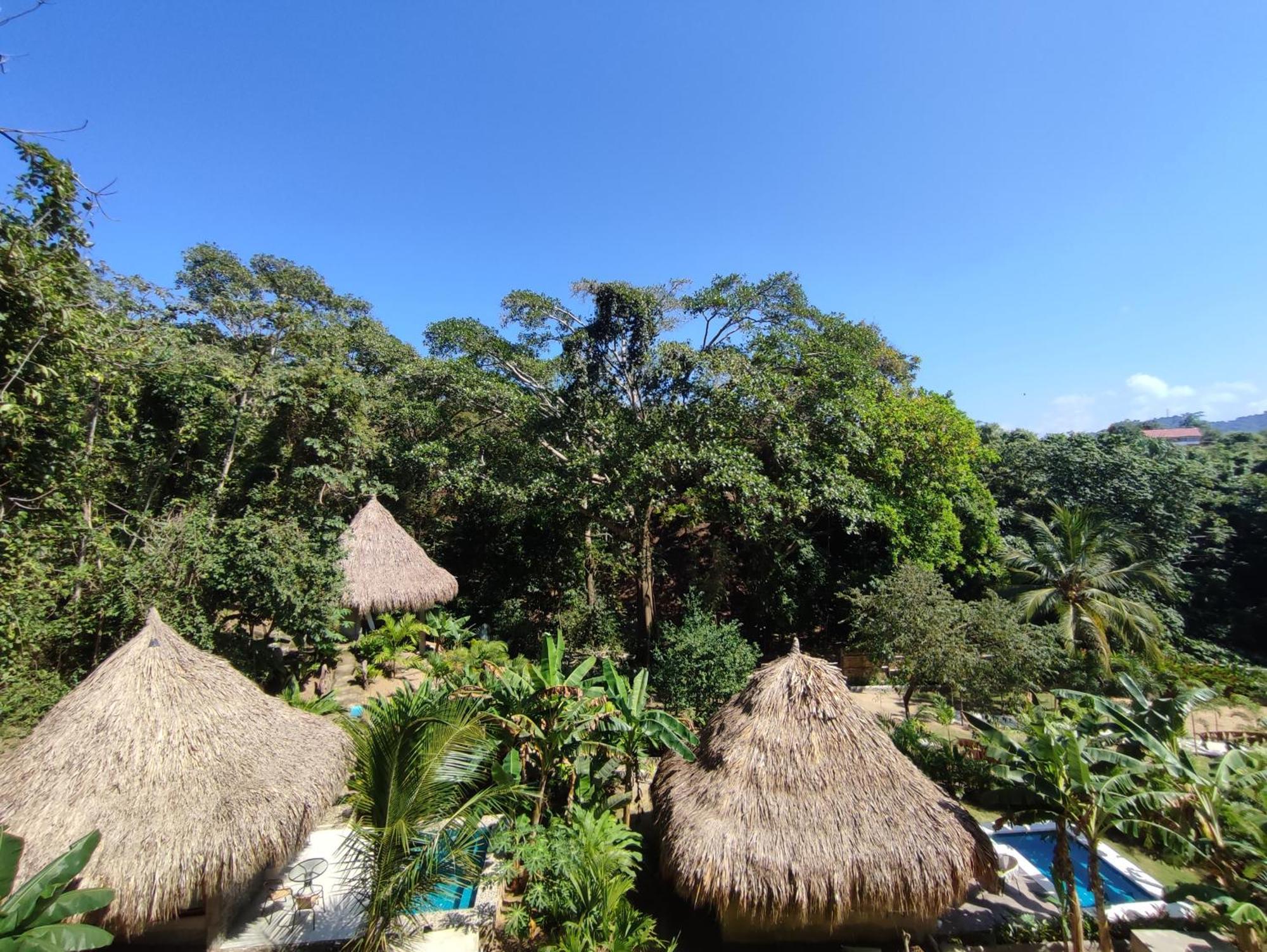 Colibri Parque Tayrona Dentro Del Parque Nacional Tayrona Bed & Breakfast El Zaino Exterior foto